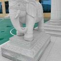 安康 白麻花岗岩动物异形石雕-大象