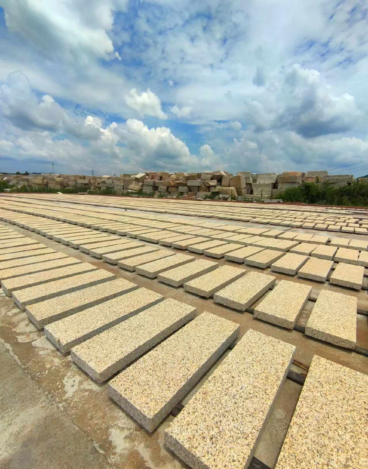 安康 黄金麻荔枝面花岗岩石材地铺石防护中